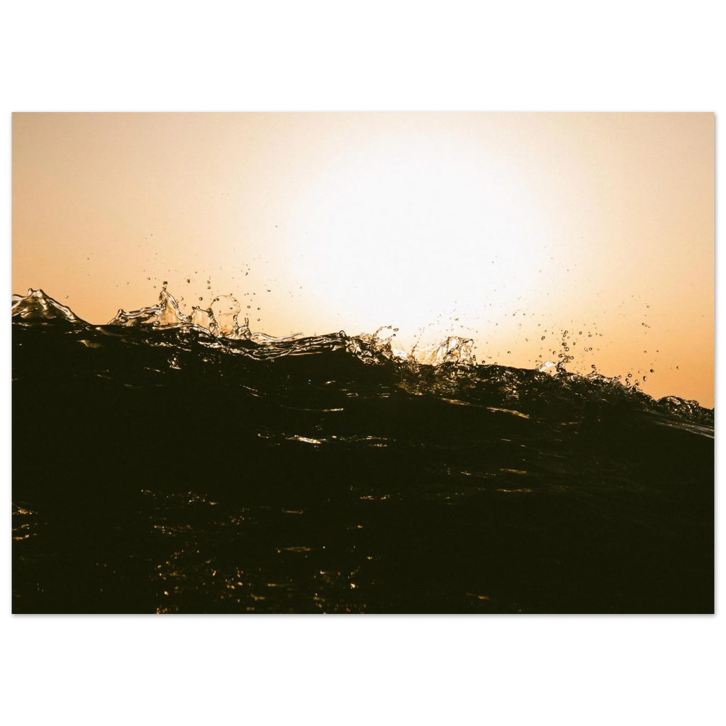 55d712d6-1449-4cf5-b7bb-163aea31ac52