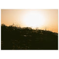 55d712d6-1449-4cf5-b7bb-163aea31ac52