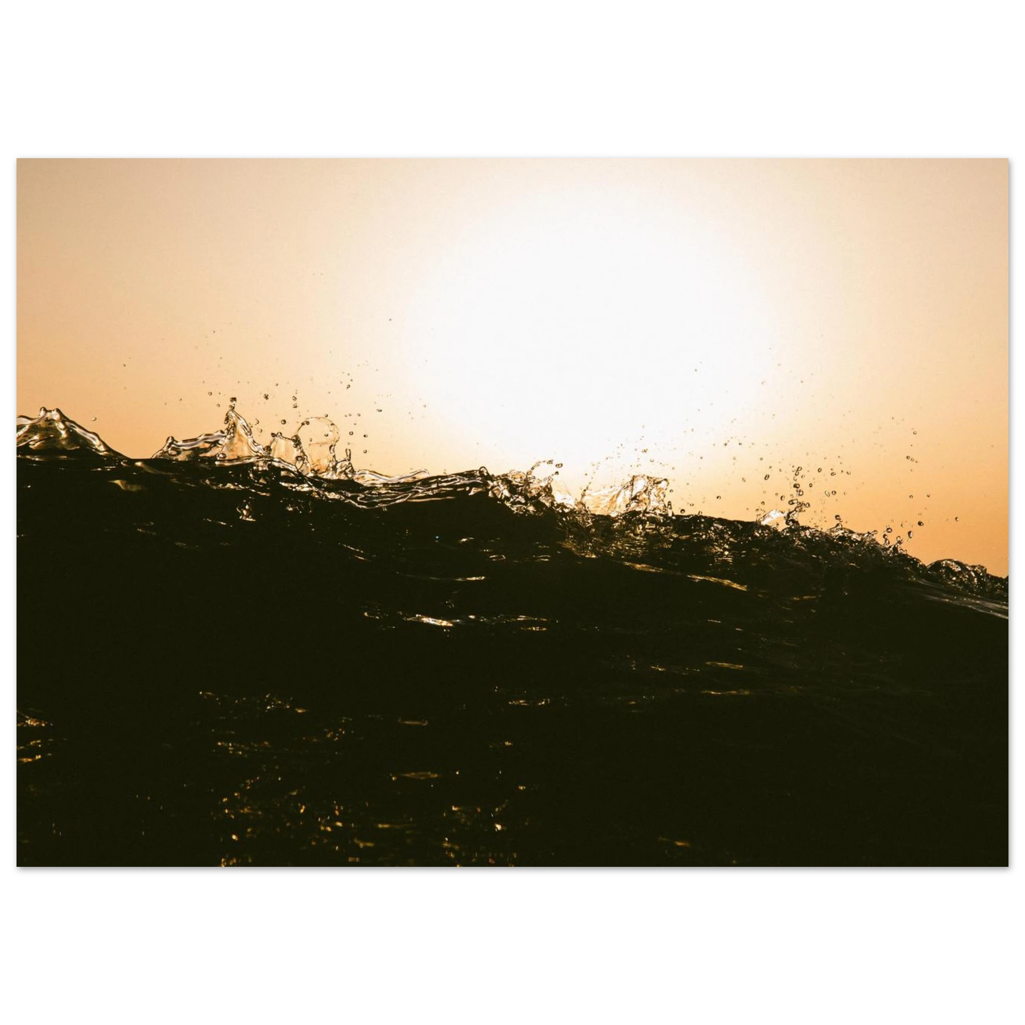 55d712d6-1449-4cf5-b7bb-163aea31ac52