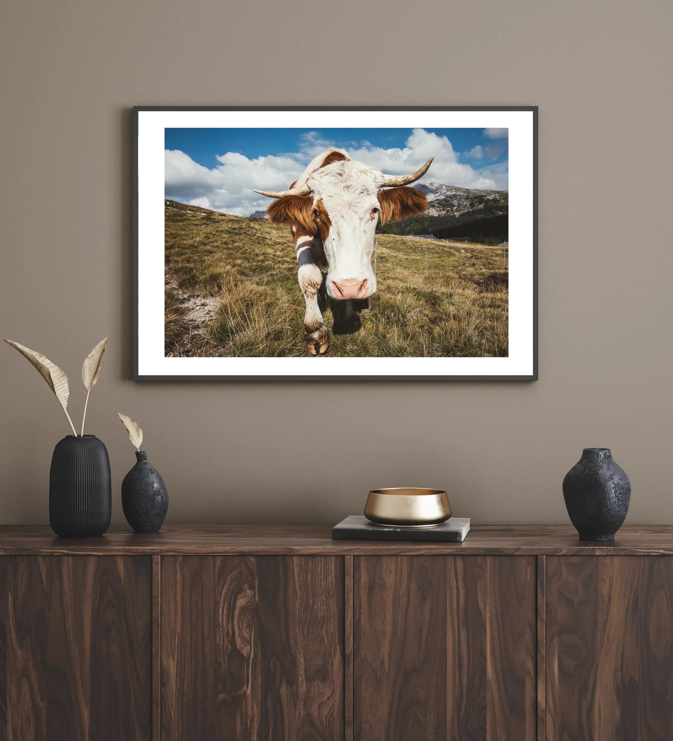 Curiosity – Close-Up Cow