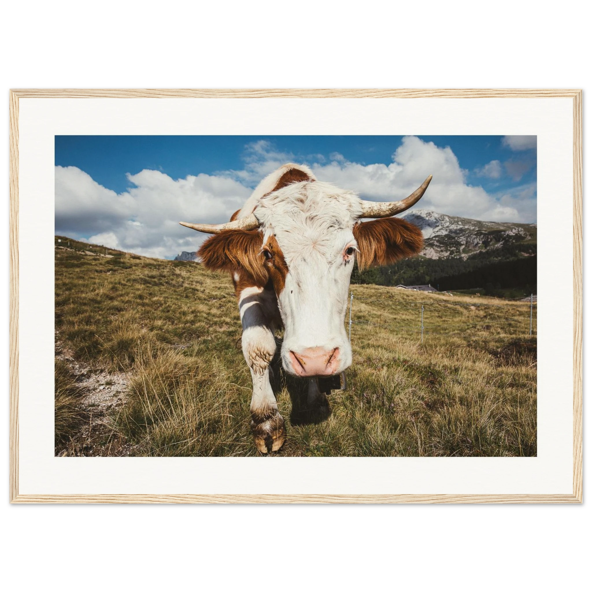 c5893a6d-823f-4789-a909-e58a7926f02b